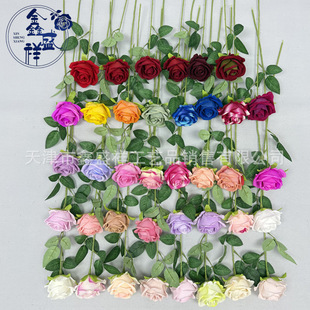 �羳����q����֧õ�� ����õ ��c�b�õ�廨���˹� ��֧����õ