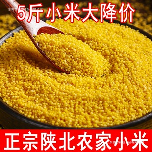 ����SС��2025���r��ꄱ���֬��С���SС�׌����������������s�Z