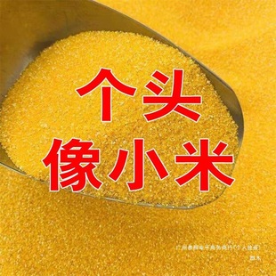 �´����������5�����ײ����S���ײ����׼R���������׼R�������