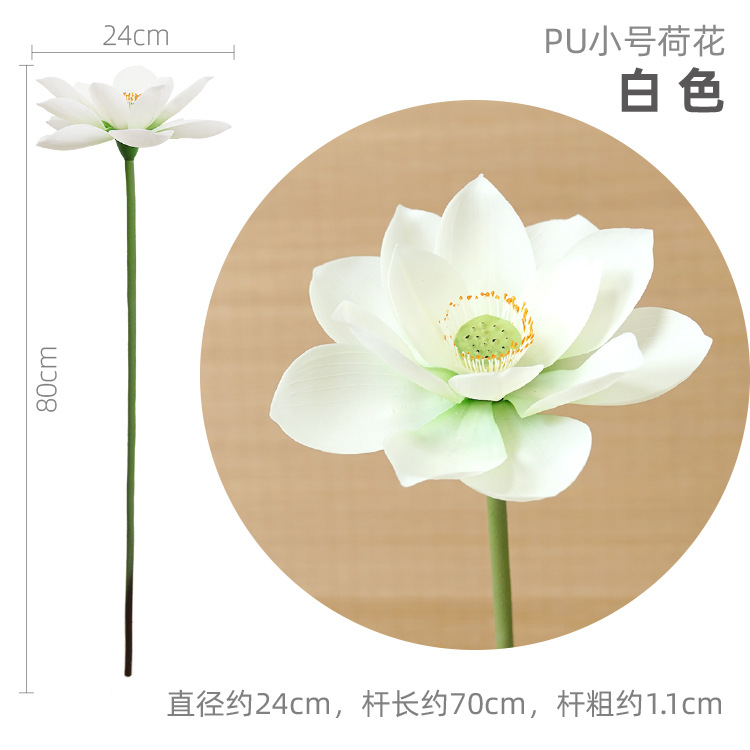 Pequeño loto blanco