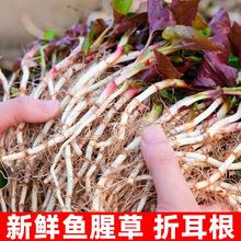 ��S�F���~�Ȳ����r�����Nֲ�玧�༴ʳպˮ�۸�����ѿ���莧