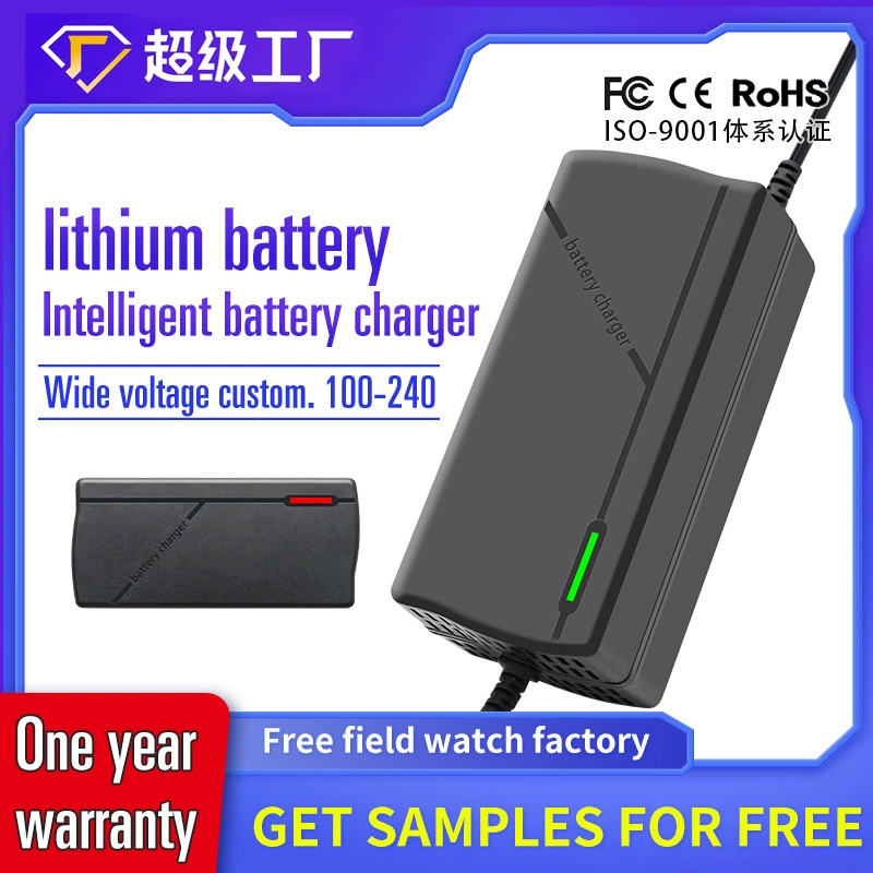 Интеллектуальный литий-железо-фосфатный полимер 14.6v16.8v5A12.6V10A электрический инструмент грузовик литиевое зарядное устройство