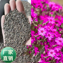 ���K���ܷN�ӹ�˾���l6600��N���ܲ��� ������ ���ղ� �ر�ʯ��