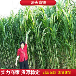 ���ͻ�������ݷN���Ϸ������������ļ��߮a�iţ���u���Z�~�ò���