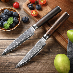 In-Stock 67-Layer Forged Damascus Steel Sharp Fruit Knife with Handle for Home Use, Meat Cutting Knife, Steak Knife
