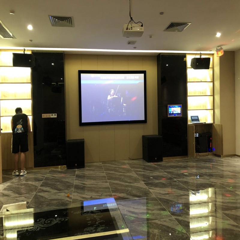 深圳别墅音响设备组合音响高档音响会议室音响家庭影音三分频音响