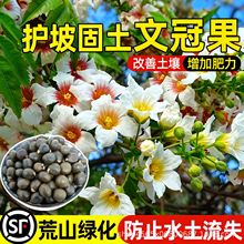 �Ĺڹ��N����ؚ񤾰�^�^�p�����˹����ֵ�·�G�����B�ޏ͹�ľ�N��