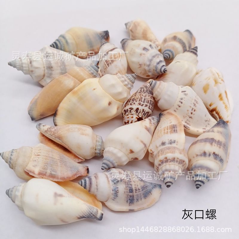 IMG_20210903_143013_副本