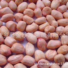 ���깩�������� ���l������ �gӭ����ӆُ �r�񃞻�