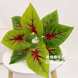 厂家批发仿真绿植滴水观音绿色植物客厅盆栽家居婚庆装饰跨境专供