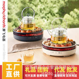 围炉煮茶器套装养生壶全玻璃烧水壶仿真碳火恒温煮茶壶6096