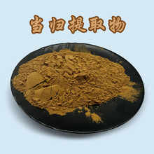 当归根提取物 50:1高比例当归多糖1KG起订 当归粉 当归提取物