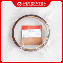 康明斯发动机配件NT855曲轴后油封3006737 204829