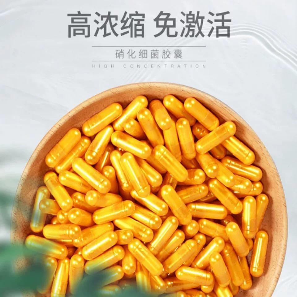 Аквариумный аквариум нитрифицирующие бактерии Капсула пищеварительные бактерии Агент для очистки воды в аквариуме Принадлежности для рыбоводства Качество воды Забеливание мутности