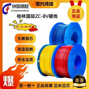 ���և��H��ƷZC-BV1/2.5�~о��ȫ��ȼ�F؛���̼��b����늾���|