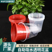 �S�ґ��˻���������ˮ��ֲ��G�}���ϻ����k���ҾG�}����ˮ����