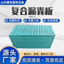 源头厂家漏粪板加厚猪用保育漏接粪板猪羊仔育肥猪BMC复合漏粪板