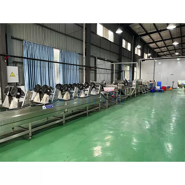 宠物零食巴氏杀菌机 大型黑水虻清洗杀菌线 米粉巴士杀菌设备现货