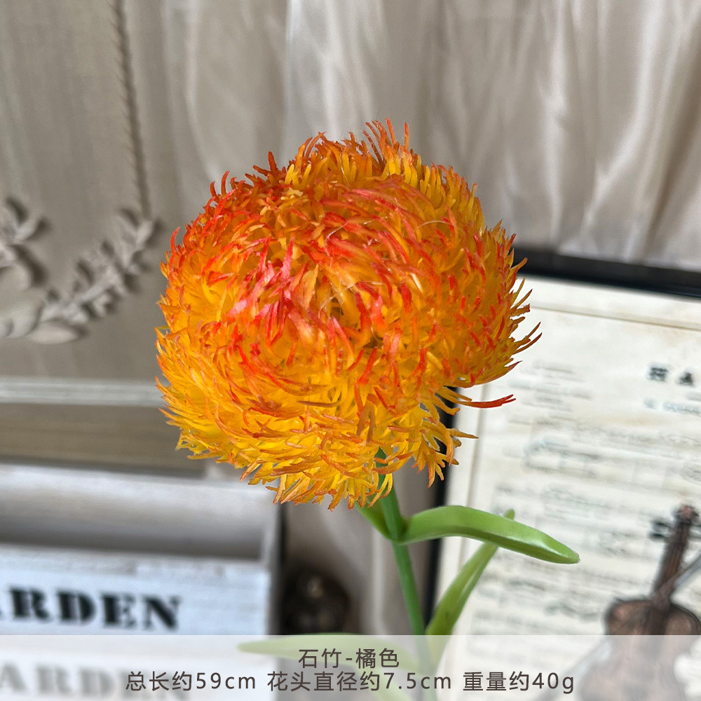 2018-Dianthus-Cam