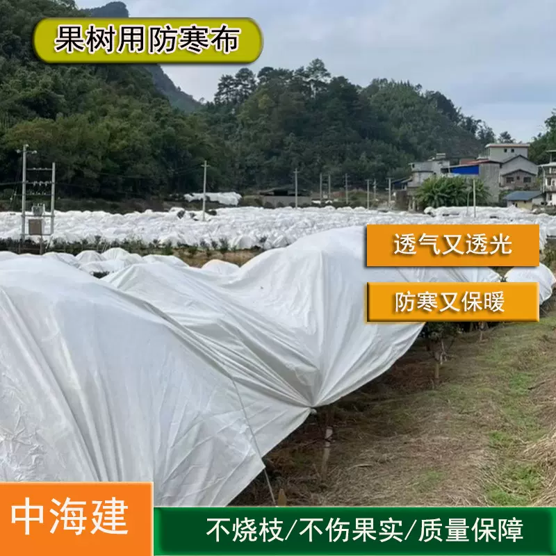 厂家生产果树防寒布 柑橘保温布 透气防水无纺布复合防寒布