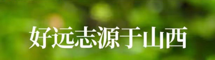 Yuan Zhi Root (Polygala tenuifolia) — Sulfur-Free Core-Removed Decoction Pieces, 500g overview