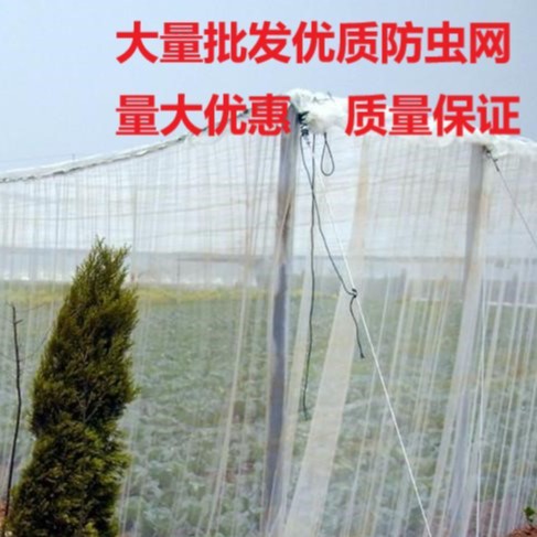 防蚊防虫网40目60目80目加厚农用蔬菜大棚果树温室大棚网罩防虫网