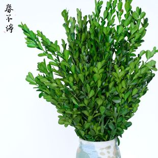 ������С�~�S�� �S��ľ�ɻ������ҾӲ廨�b��^�DIY���ďS�����l