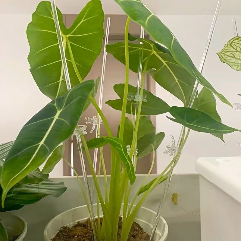 PC透明支撑杆 (17).jpg