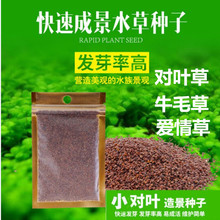 ˮ�ݷN���~���쾰��ƺСţë���㌦�~�����\����ˮ�������^�쾰