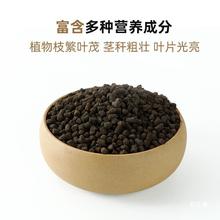 �������������絪��⛏ͺϷ����߲˻��ʻ��ʈ@ˇ���@��ˮ��������