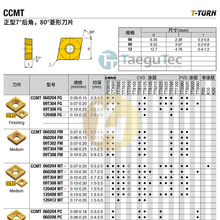�n�� �ع̿� ���ص�Ƭ CCMT 060204 FG PV3010 �T�� ��ǰԃ�r