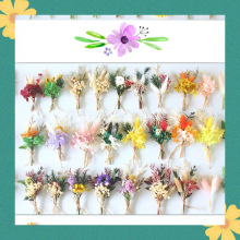 羳羳ɻСYػYbɻl