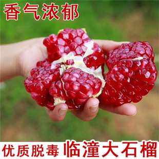 ����R��������ʯ������Ӳ��ʯ��������ͥԺ���Թ����箔��Y��