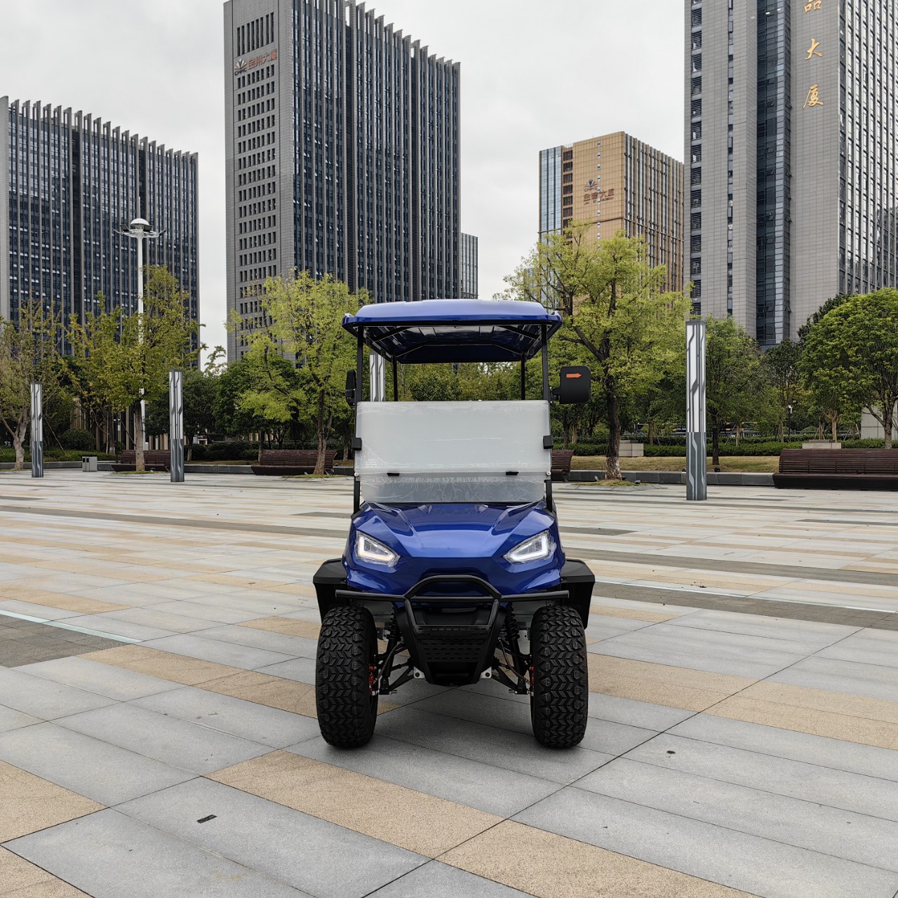 4-6 Seat Electric Golf Cart/Hotel Reception Car/Sightseeing Car