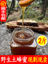 木桶土蜂蜜纯正天然农家自产秦岭正宗深山野生成熟纯天然原蜜礼盒