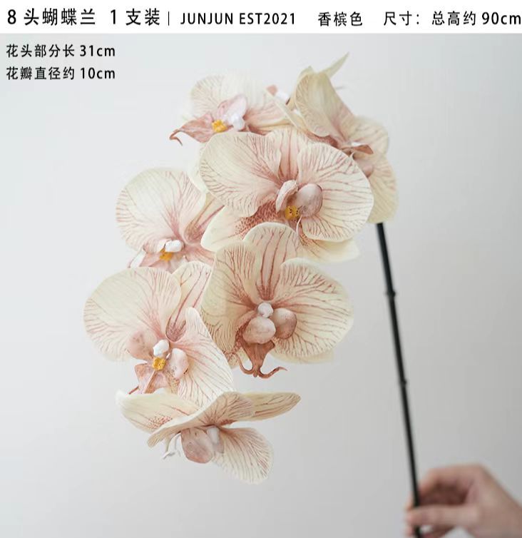 110424深咖