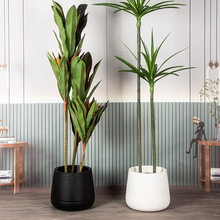 仿真绿植圆形塑料花盆加厚双层园艺种植盆带托盘大号办公室落地盆
