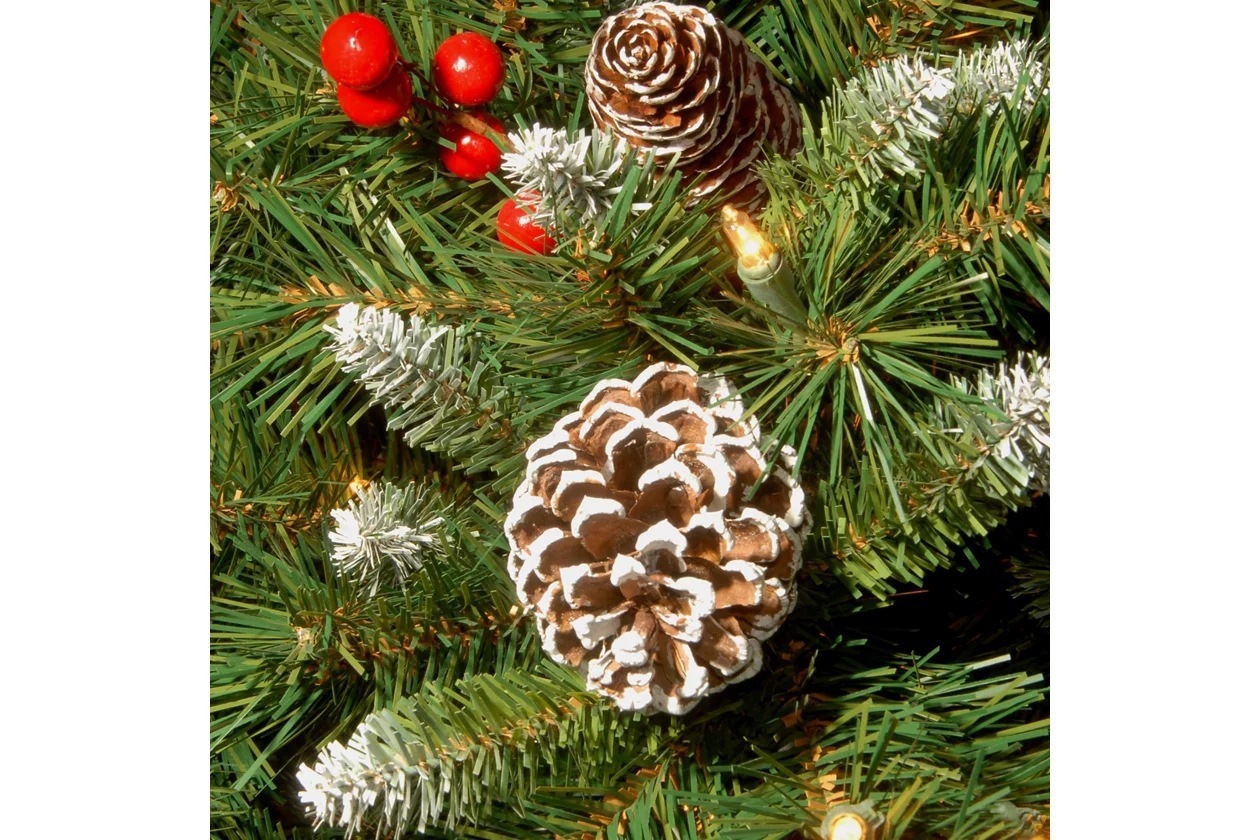 A600033573_4_$AFHS-PDP-Zoomed$