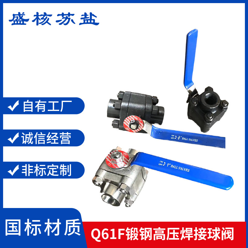Q61F-64C/100P 锻钢A105N高压高温焊接球阀304不锈钢高温高压球阀