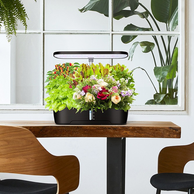 Amazon prefiere la caja de verduras perezosa, la máquina de plantación hidropónica inteligente, la luz de relleno para el hogar, la luz del sol, la lámpara de crecimiento de la planta