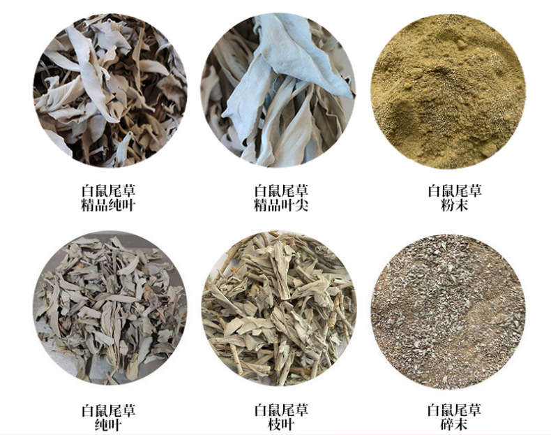 微信图片_20240422092713