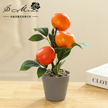 �ٻ�ˮ���辰�S��ֱ���������컨�r�мҾ��b�Ʒһ�����l��������