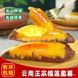 蒜;复合调味料;其他香辛料