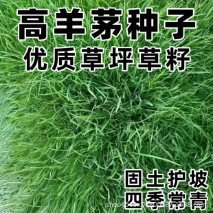 ����é�����o�¹������`̤���޼��ͺ��ͺ����@�G���������ƺ�N��