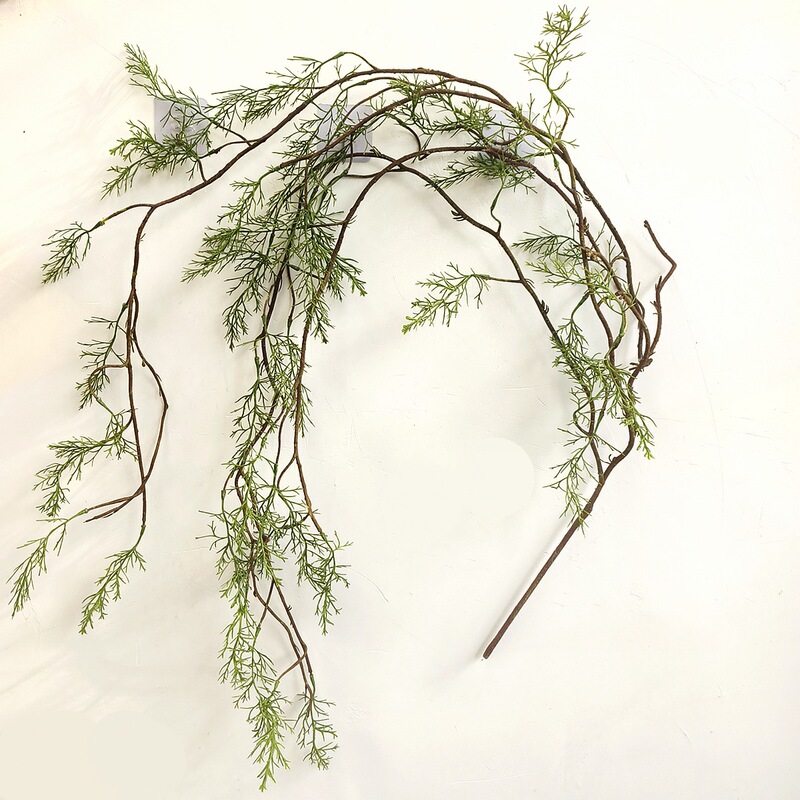 Artificial Green Vines for Landscaping and Decoration, Including Black Asparagus Ferns, Dead Vine Decorations, and Hanging Moss Vines