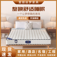 ɴ|ܛ|aþƵz|Ӳ|W1.5m|S