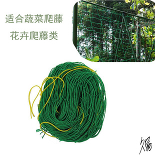 ���پW�Nֲ�W�������֧���S�Ͻz���߲�ǧţ�����J�Nޱ�F��ɏ����