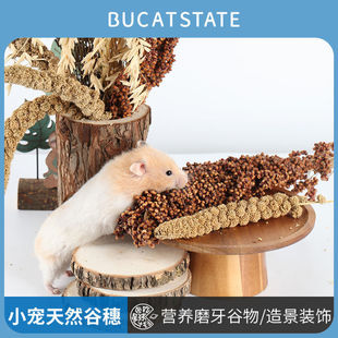 �}�������ʳĥ�����b��쾰��Ʒ��z�ܠI�B�B���W�^�Zʳ�}�����