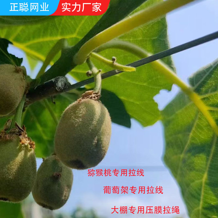 包塑钢丝线 葡萄架拉线 猕猴桃拉线 钢丝拉线绳 包塑钢丝线串珠线