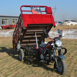 正三轮摩托车;电动三轮车